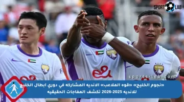 «نجوم الخليج» «قوة الملاعب» الأندية المشاركة في دوري أبطال الخليج للأندية 2025-2026 تكشف المفاجآت الحقيقية